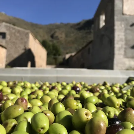 La Ferula فندق مبيت وإفطار Scillato (Sicily)